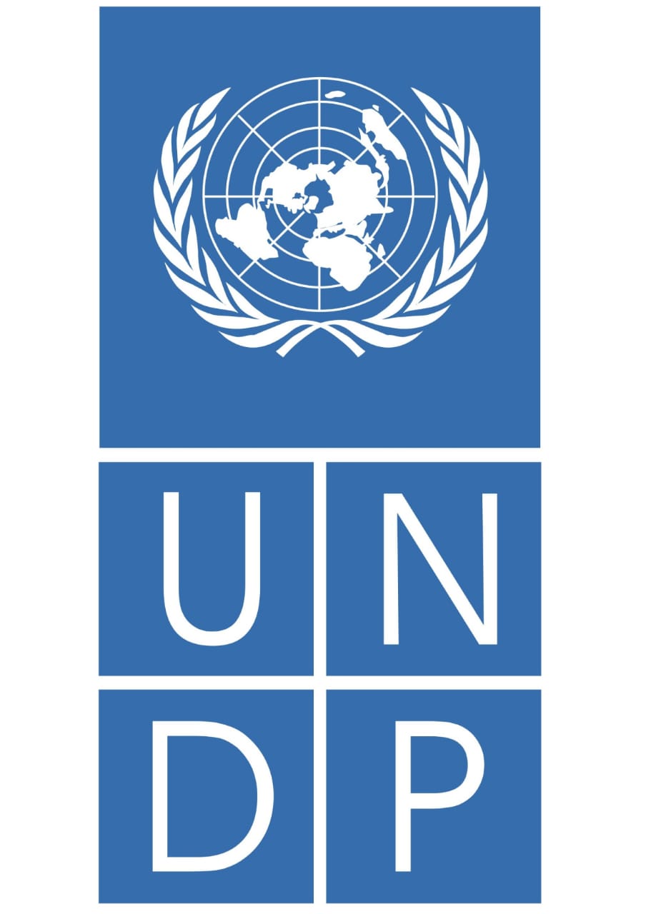 برنامج الأمم المتحدة الإنمائي UNDP